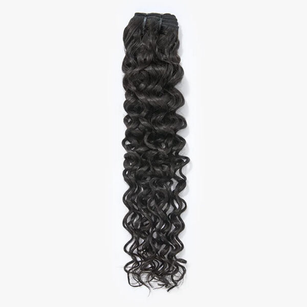 18-26-Inch Burmese Curly 11A Raw Vietnam Hair Bundles